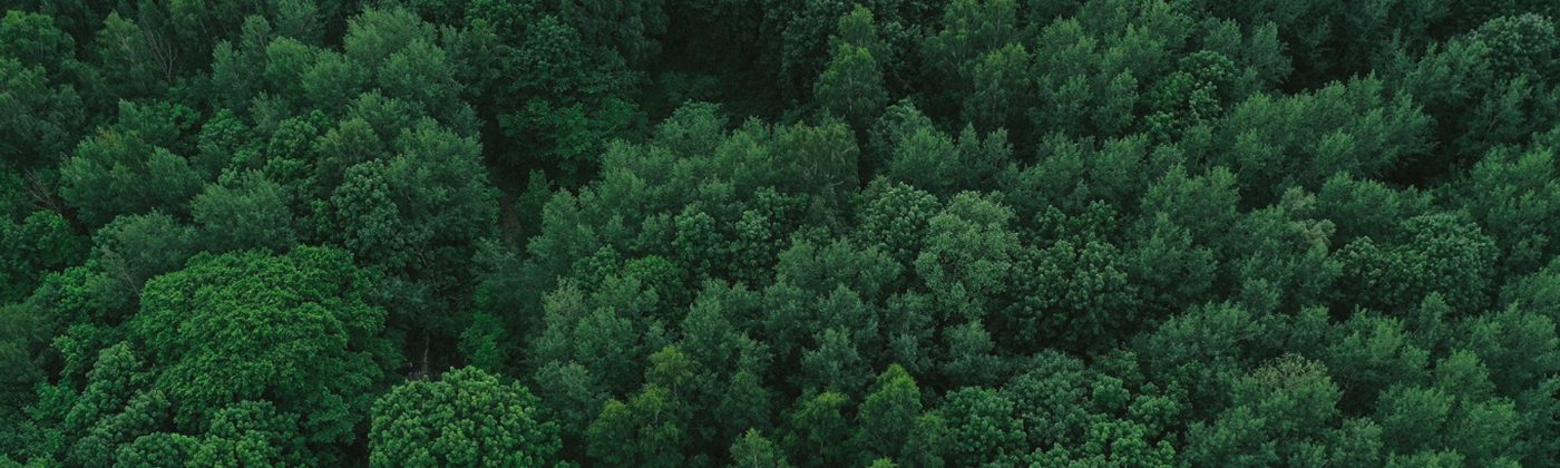 Sustainability